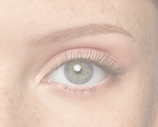 Lash Treatment